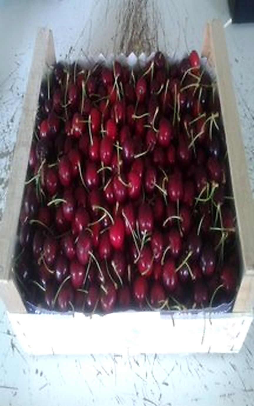 Girocassa paper for packing apples in wooden boxes - 2
