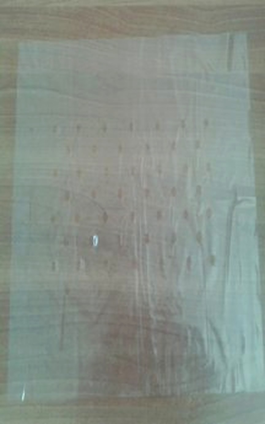 Girocassa paper for packing apples in wooden boxes - 3