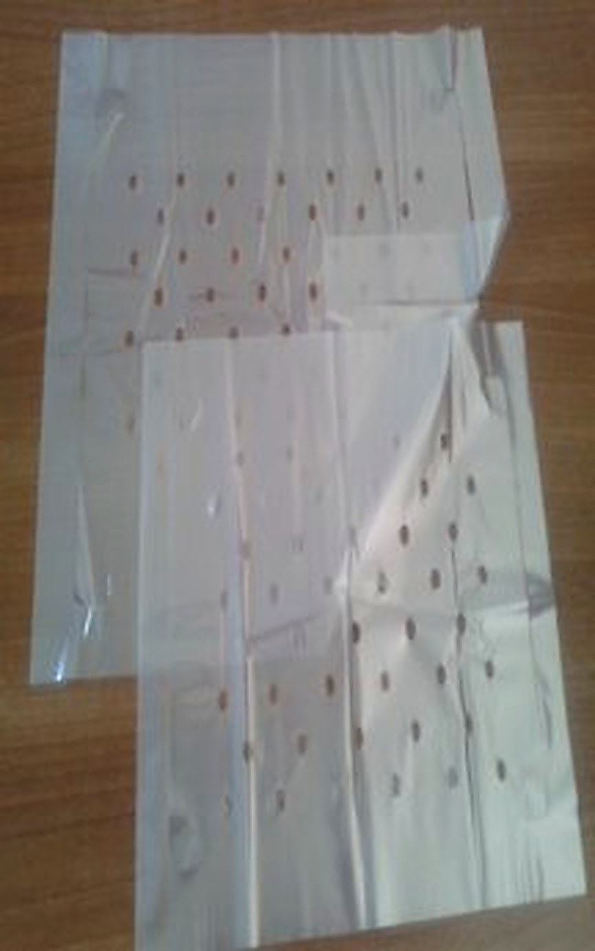 Girocassa paper for packing apples in wooden boxes - 4